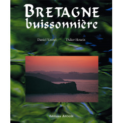 Bretagne buissonnière