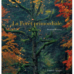 Forêt primordiale (La)