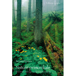 Nature primordiale