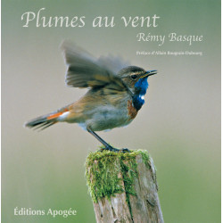 Plumes au vent