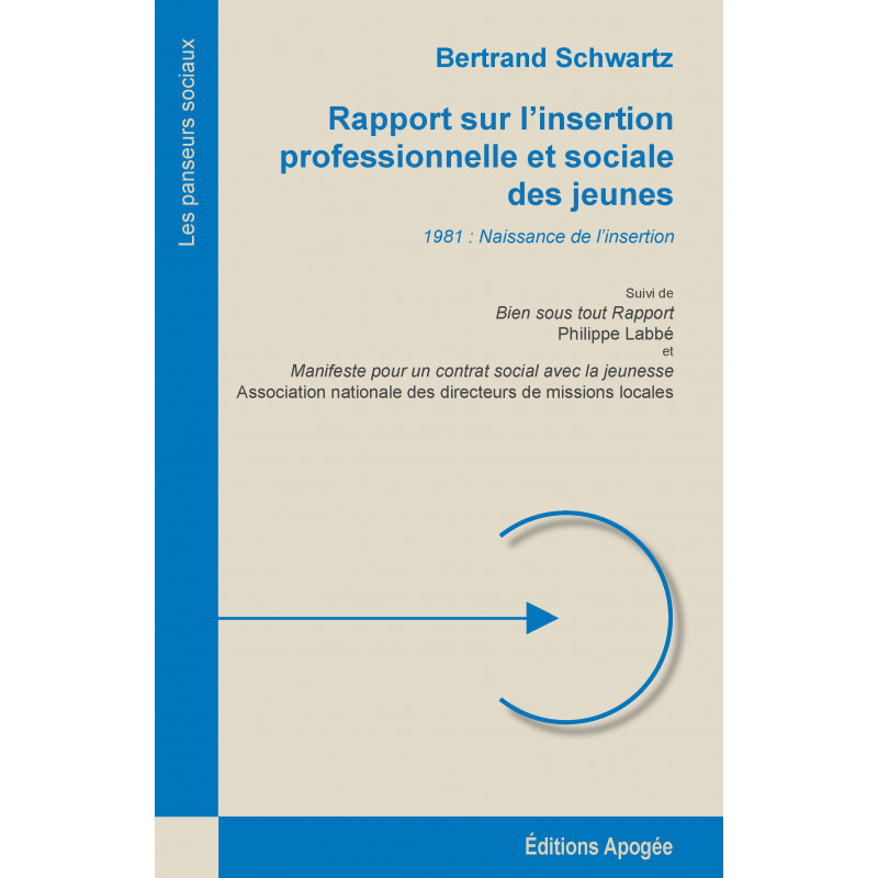 Rapport Sur L Insertion Professionnelle Et Sociale Des Jeunes