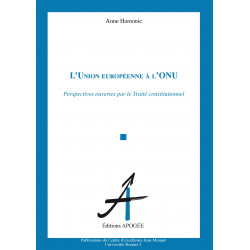 Union européenne à l'ONU (L')