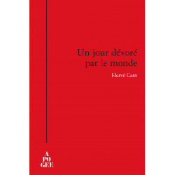 Jour dévoré par le monde (Un)