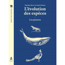 Évolution des espèces (L')...