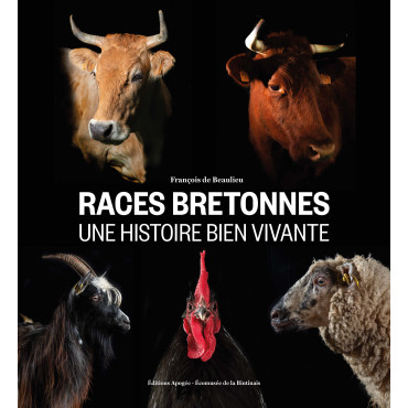 Races bretonnes : une...