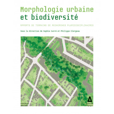 Morphologie urbaine et...